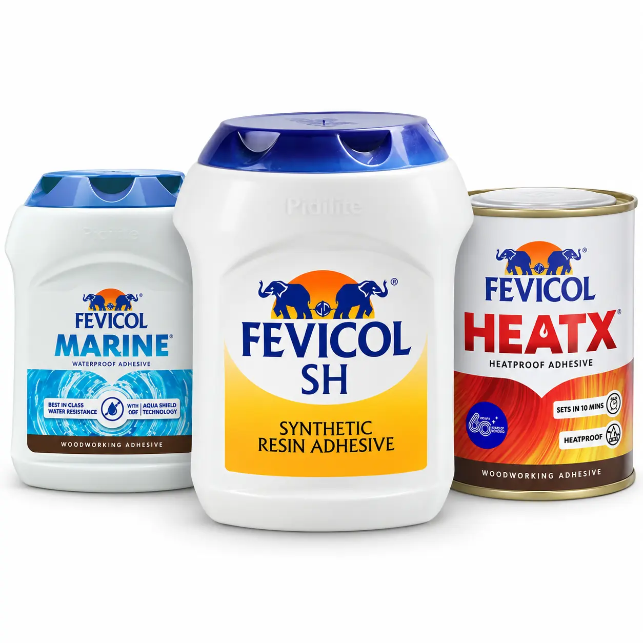 Fevicol